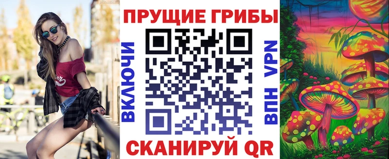 Купить где  Никольск  Галлюциногенные грибы MAGIC MUSHROOMS 