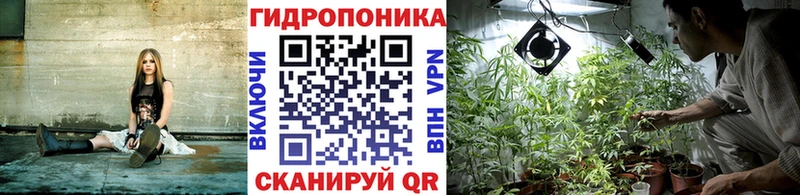 Купить закладки  Никольск  Конопля VHQ 